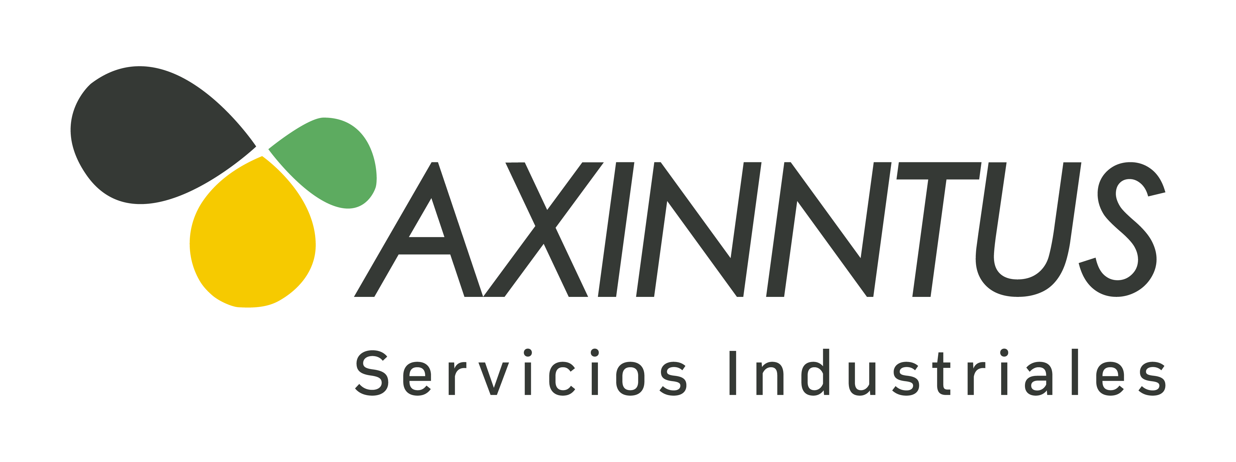 Servicios Industriales Ltda.