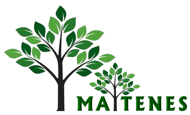 Procesos Los Maitenes Spa