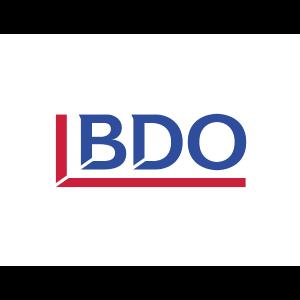 BDO Auditores Consultores .