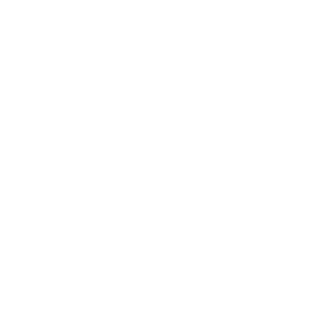 Automotriz Antumalal .