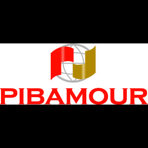 Pibamour Sociedad Comercial Y De Representaciones Limitada