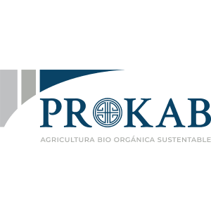 Prokab SpA